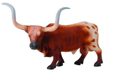 * TEXANISCHER LONGHORN STIER (L)