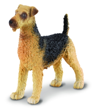 AIRDALE TERRIER (M)