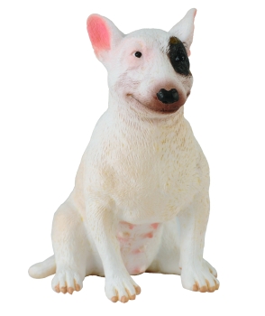 BULLTERRIER HÜNDIN (M)