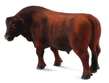 RED ANGUS STIER (L)