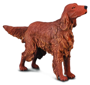 IRISH RED SETTER (L)