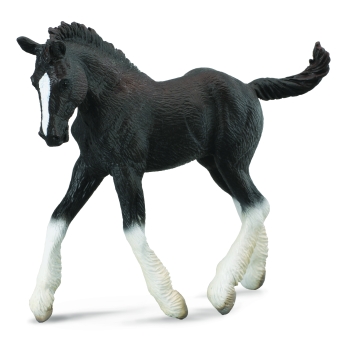 SHIRE HORSE FOHLEN SCHWARZ (M)