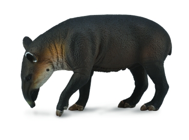 MITTELAMERIKANISCHES TAPIR (L)