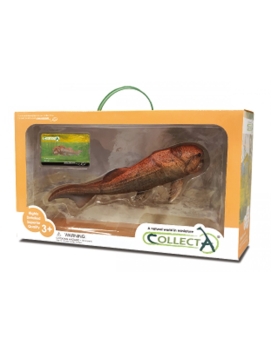 DUNKLEOSTEUS 1:20 DELUXE, WINDOW BOX