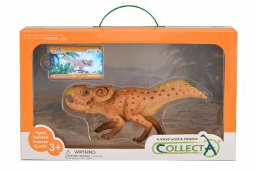 PROTOCERATOPS - DELUXE WINDOW BOX