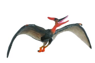 PTERANODON 1:40 (DELUXE)