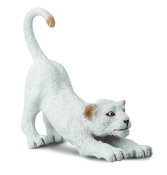 WEISSES LÖWENJUNGES - SICH STRECKEND (S)