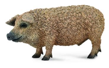 MANGALICA-SCHWEIN (M)