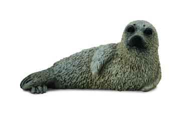 LANGHAARROBBENKALB (S)