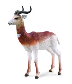 DAMA-GAZELLE (L)
