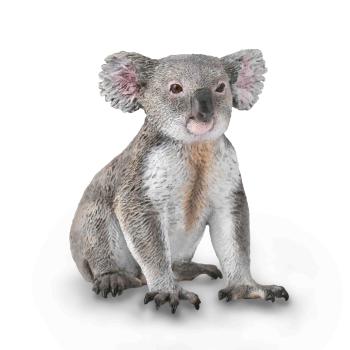 KOALA (M)