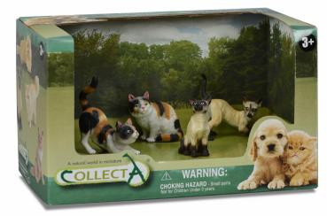 4 ST HUNDE UND KATZEN SET OPEN BOX