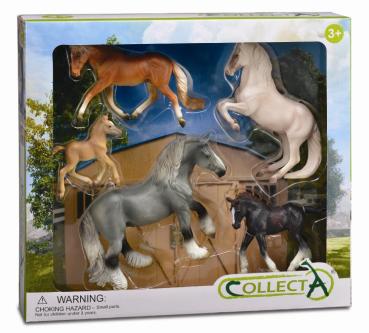 5 ST PFERDE LEBEN SET BOX