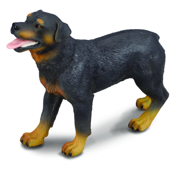 ROTTWEILER (L)