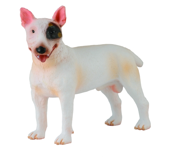 BULLTERRIER RÜDE (M)