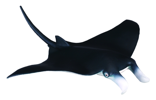 MANTAROCHEN (M)