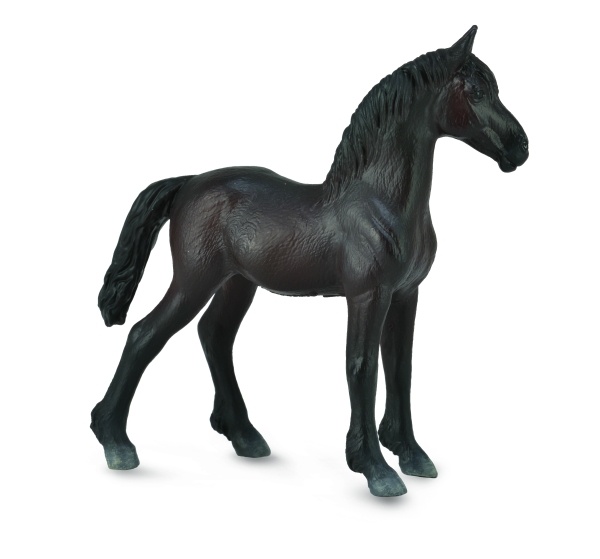 FRIESIANFOHLEN - SCHWARZ (M)