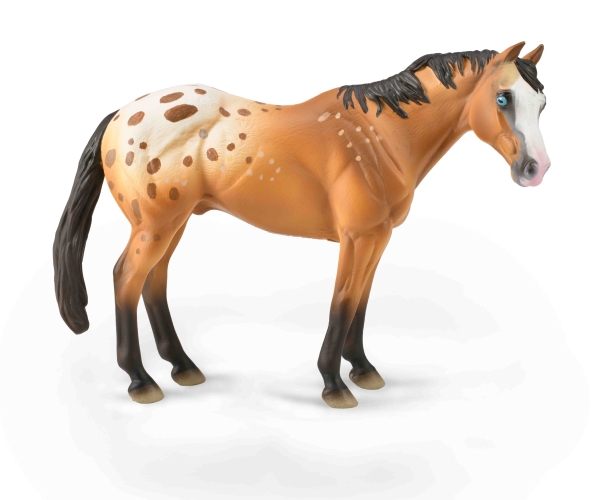 APPALOOSA HENGST HELL-BRAUN (XL)