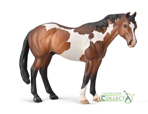 APPALOOSA HENGST BRAUNSCHECKE (XL)