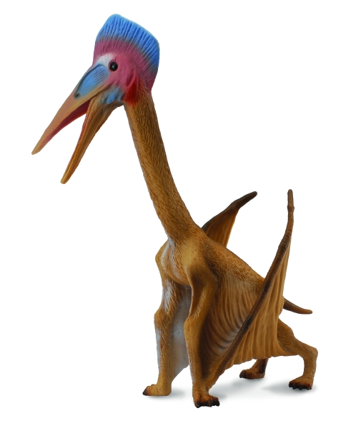 HATZEGOPTERYX (L)