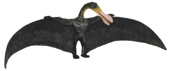 ORNITHOCHEIRUS (L)