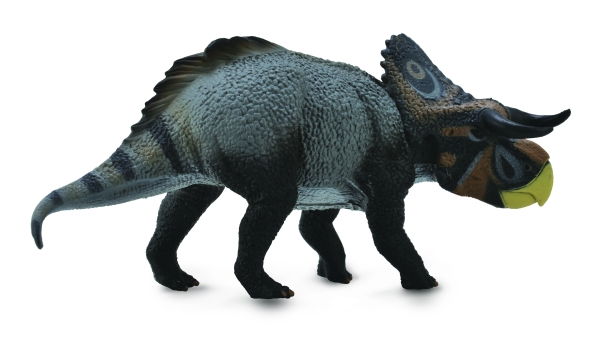 NASUTOCERATOPS (L)