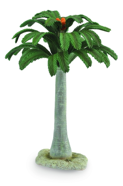 PALMFARN DELUXE (30cm), im Karton