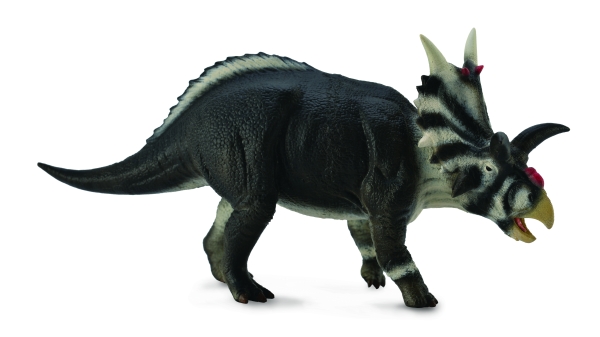 XENOCERATOPS (L)