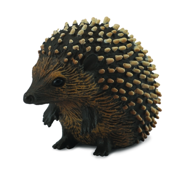 IGEL (S)