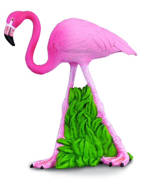 FLAMINGO (M)