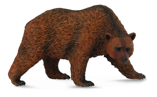 BRAUNBÄR (L)