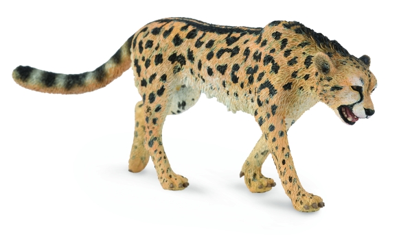 KÖNIGSGEPARD (L)