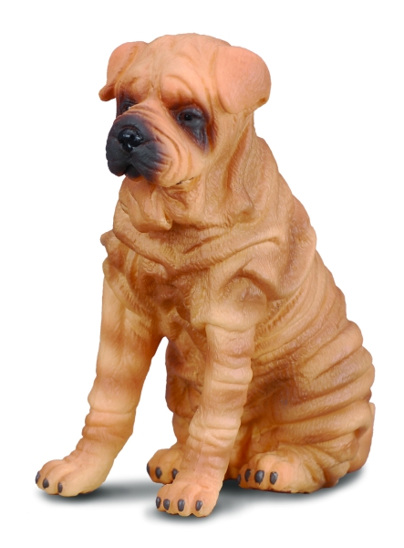 SHAR-PEI (L)