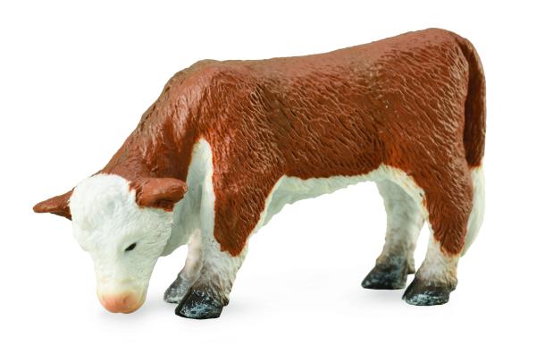 HEREFORD KÄLBCHEN - GRASEND (S)