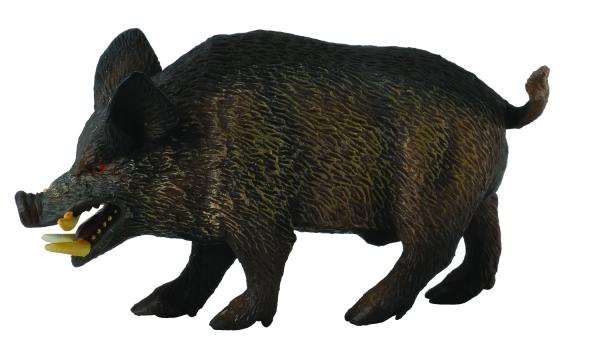WILDSCHWEIN - EBER (M)