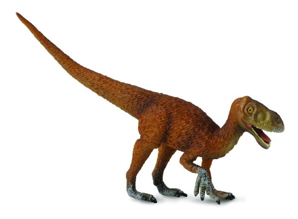 EOTYRANNUS (L)