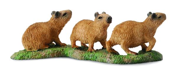 CAPYBARA-JUNGE (S)
