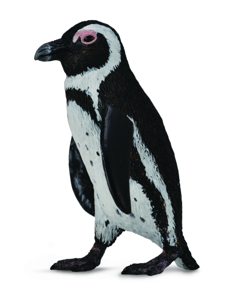 SÜDAFRIKANISCHER PINGUIN (S)