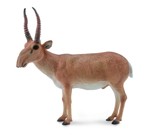 SAIGA-ANTILOPE (L)