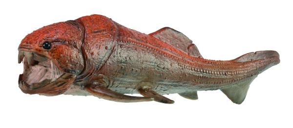 DUNKLEOSTEUS MIT BEWEGLICHEM KIEFER 1:20 (DELUXE)