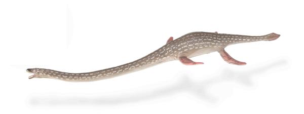 ELASMOSAURUS (L)