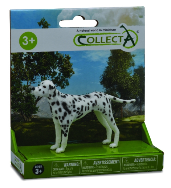 1 ST HUNDE SET PLATFORM