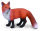 ROTFUCHS (S)