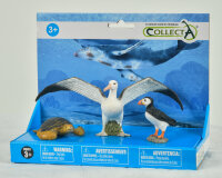 3 ST MEERESLEBEN SET, PLATTFORM