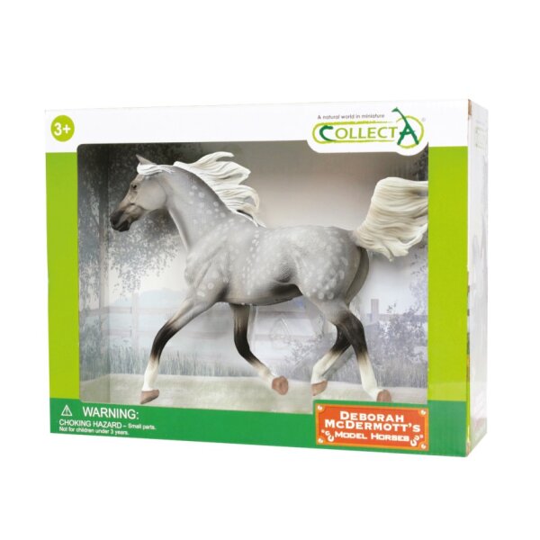 HALB-ARABER HENGST APFELSCHIMMEL - DELUXE WINDOW BOX (88959)