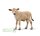 JERSEY KALB (S)