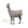 LAMA (M)