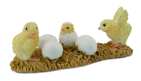 KÜKEN - SCHLÜPFEND (S)