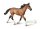 STANDARDRASSIGER PACE HENGST - BRAUN (XL)