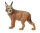 LUCHS (L)